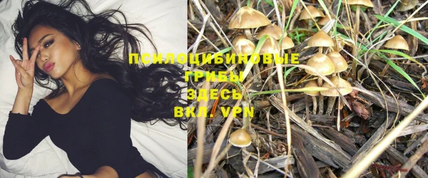 дурь Белокуриха